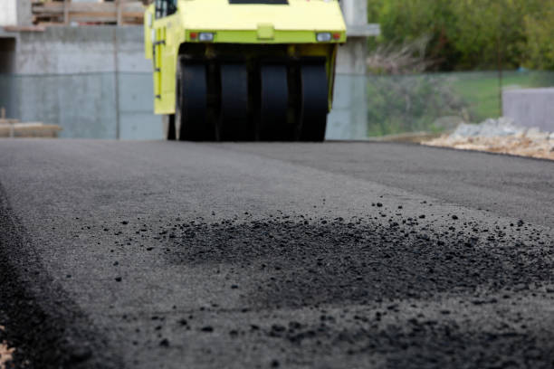 Best Professional Driveway Pavers  in River Edge, NJ